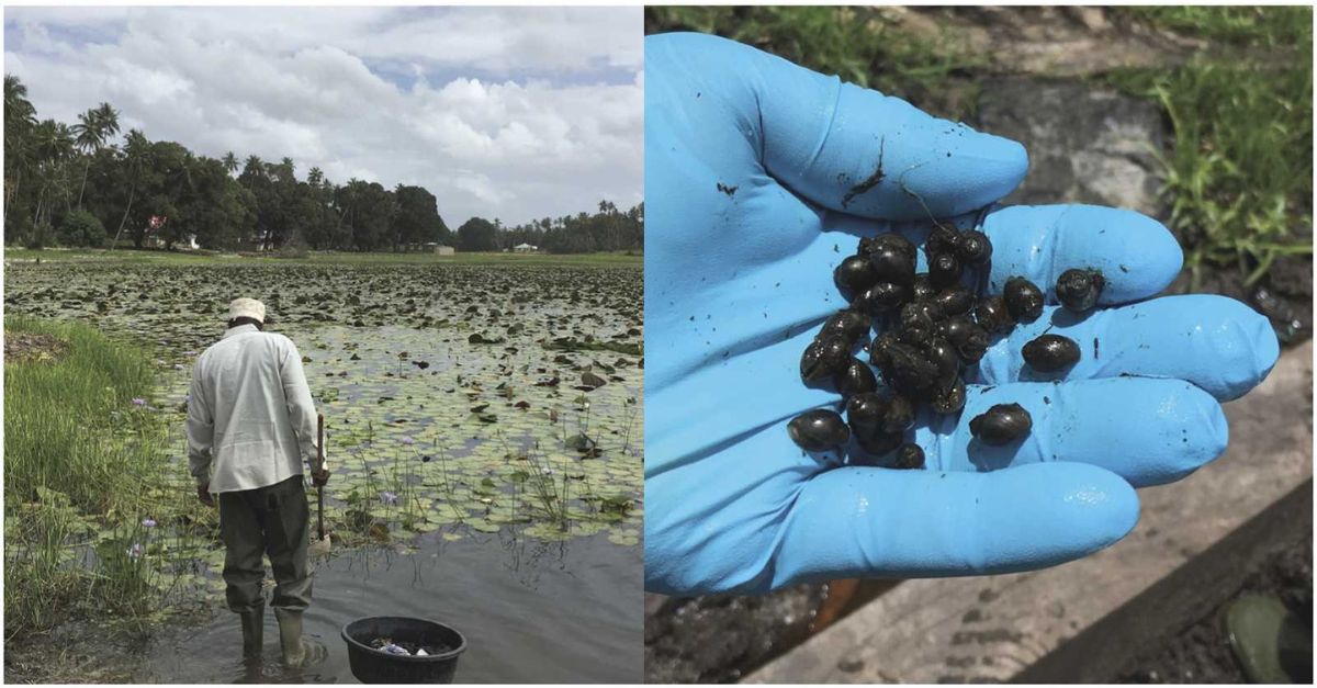 The long road to schistosomiasis elimination in Zanzibar: A systematic review covering 100 years of research, interventions and control milestones